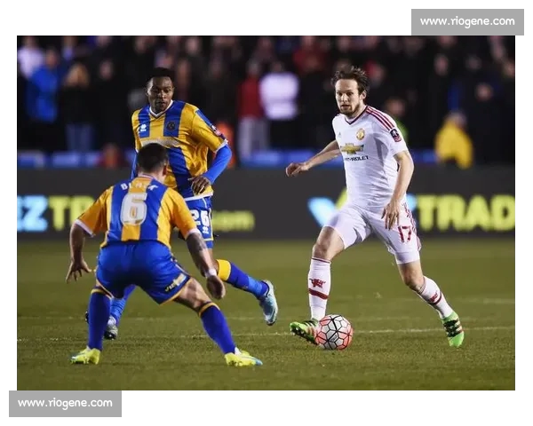 高清足球赛事直播APP下载指南畅享全球赛场精彩即时比分数据分析权威解说 - 副本 (114) - 副本 - 副本 - 副本 - 副本