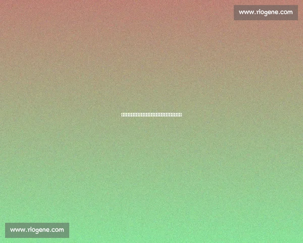 官方权威足球赛事资讯平台全面解析最新赛程战报动态