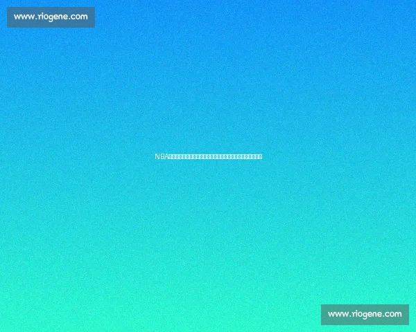 NBA数据平台全面升级:实时数据分析助力球迷深度解析赛事动态