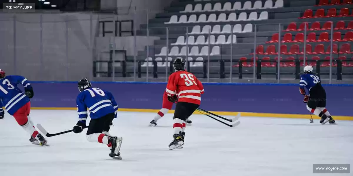 为什么选择我们